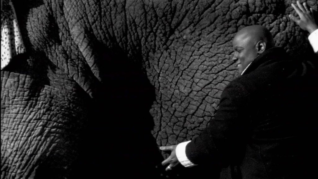 Javier Téllez, Letter on the Blind, For the Use of Those Who See, 2007 Still from video installation (Super 16mm film transferred to high-definition video, black and white, 5.1 digital dolby surround, duration 27'36'') Commissioned by Creative Time as part of Six Actions for New York City Courtesy the Artist, the NMNM and Galerie Peter Kilchmann, Zurich 