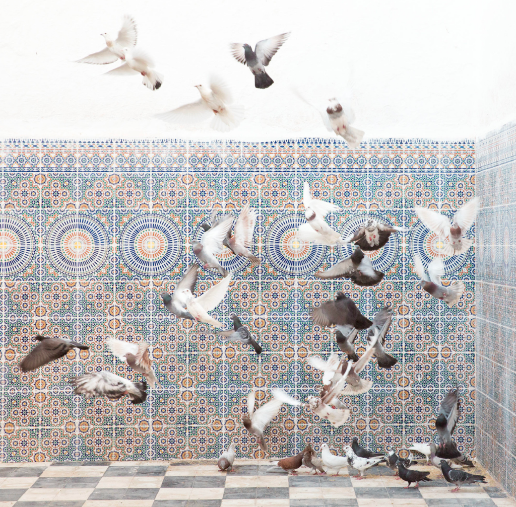 YaPhoto Festival 2019