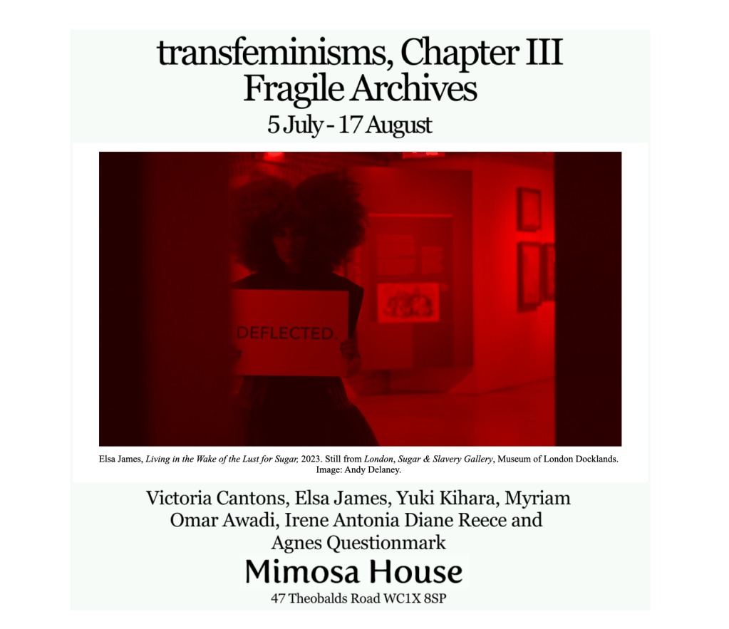transfeminisms – Chapter&nbsp;III